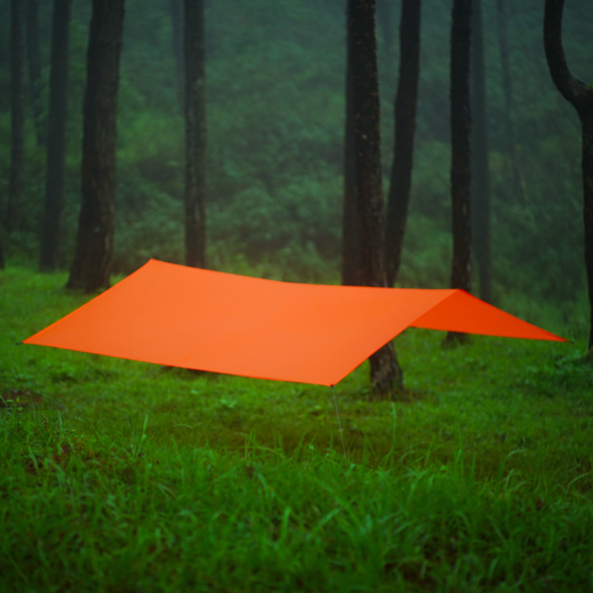 Ultralight 30D tarp for hammocks, tents, and backpackers