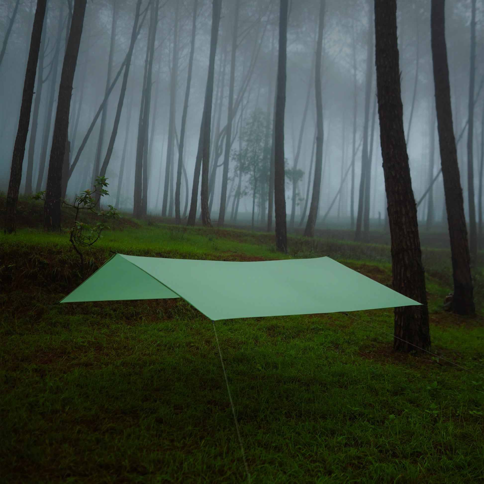 30D ripstop tarp for fast-pitch ultralight shelters