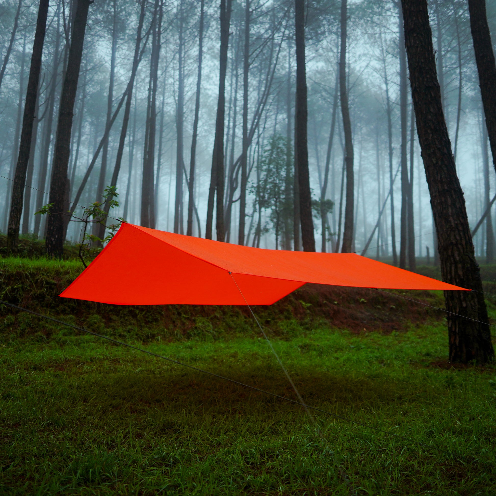 Top-rated 30D hammock tarp for camping and outdoor shelter