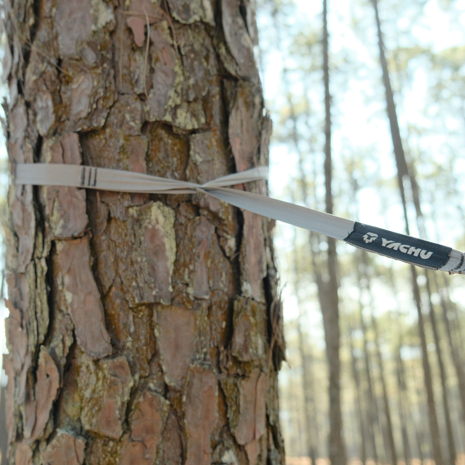 Tree-hugging hammock straps for sustainable camping adventures