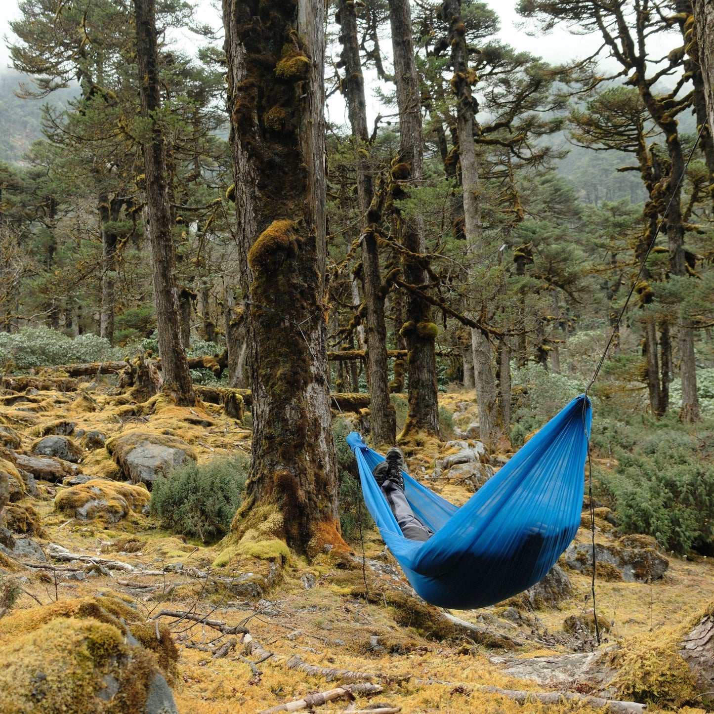 Airlite Hammock Set