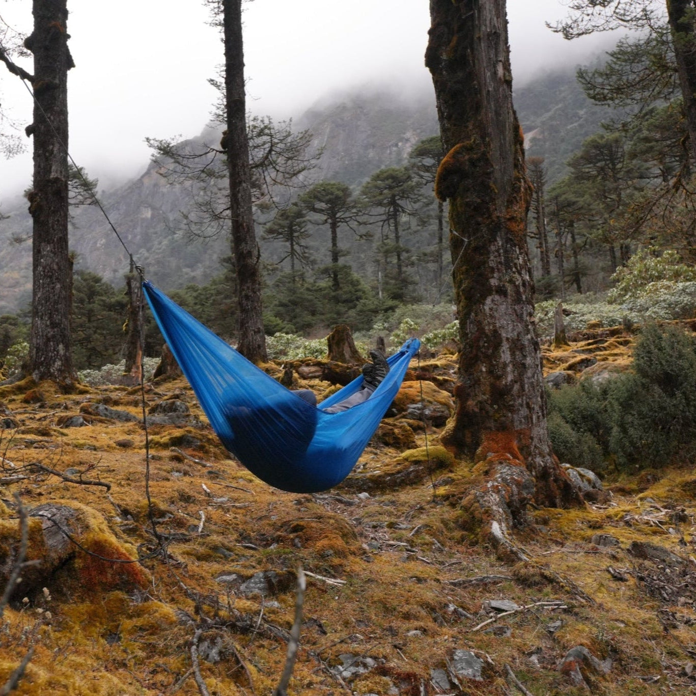 Yachu Airlite Hammock Set | 225g, Sets Up in 60 Seconds – YACHU.CO